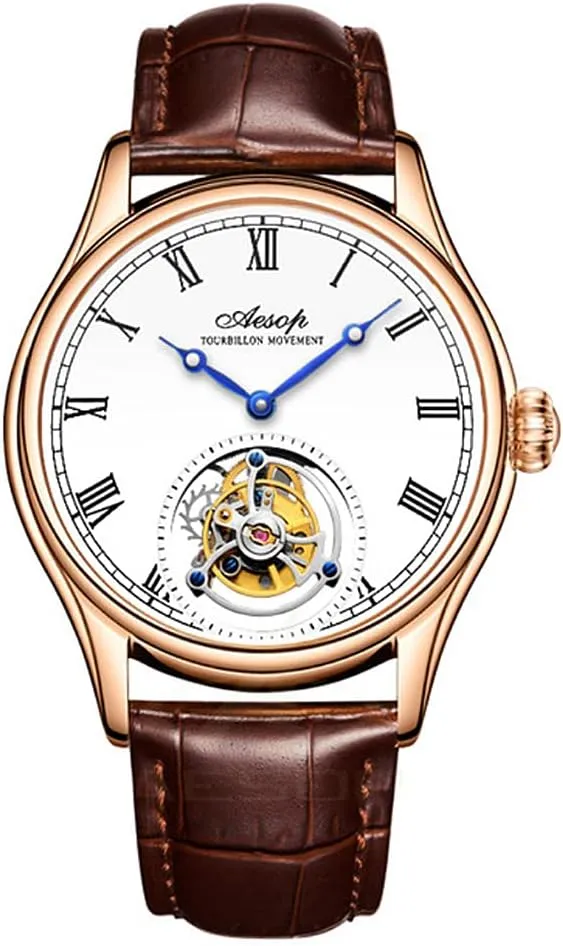 AESOP Men Mechanical Tourbillon Watches Hand Wind Sapphire Stainless Steel Skeleton Wrist Watches 50M Waterproof Luxury Business Watch with Genuine Leather Strap