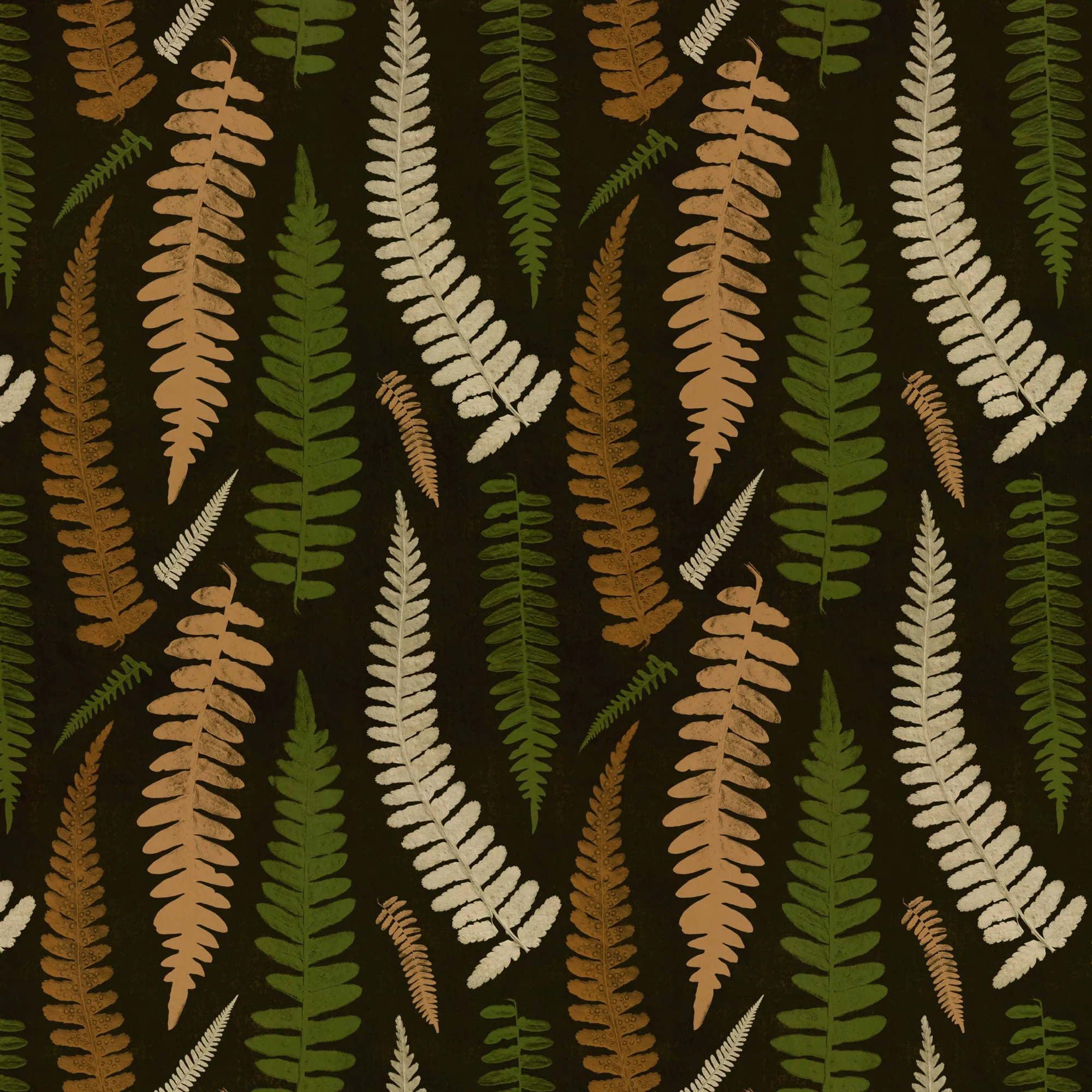 Corcovado | Boho Chic Ferns
