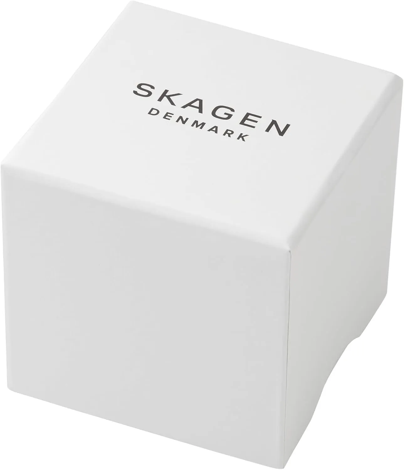 Skagen Men's Sundby Quartz Analog Stainless Steel and Mesh Watch